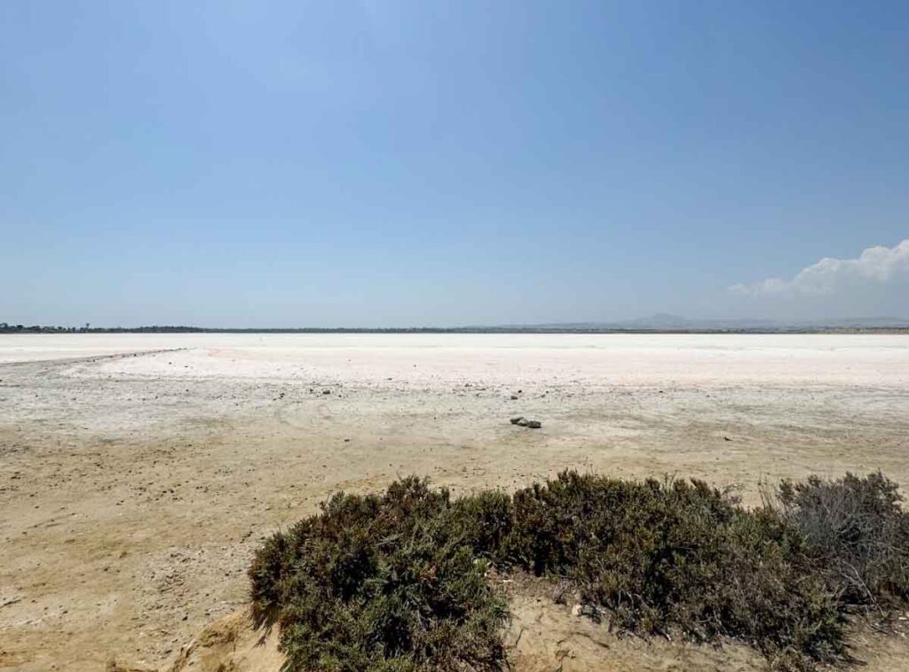 Larnaca-Salt-Lake